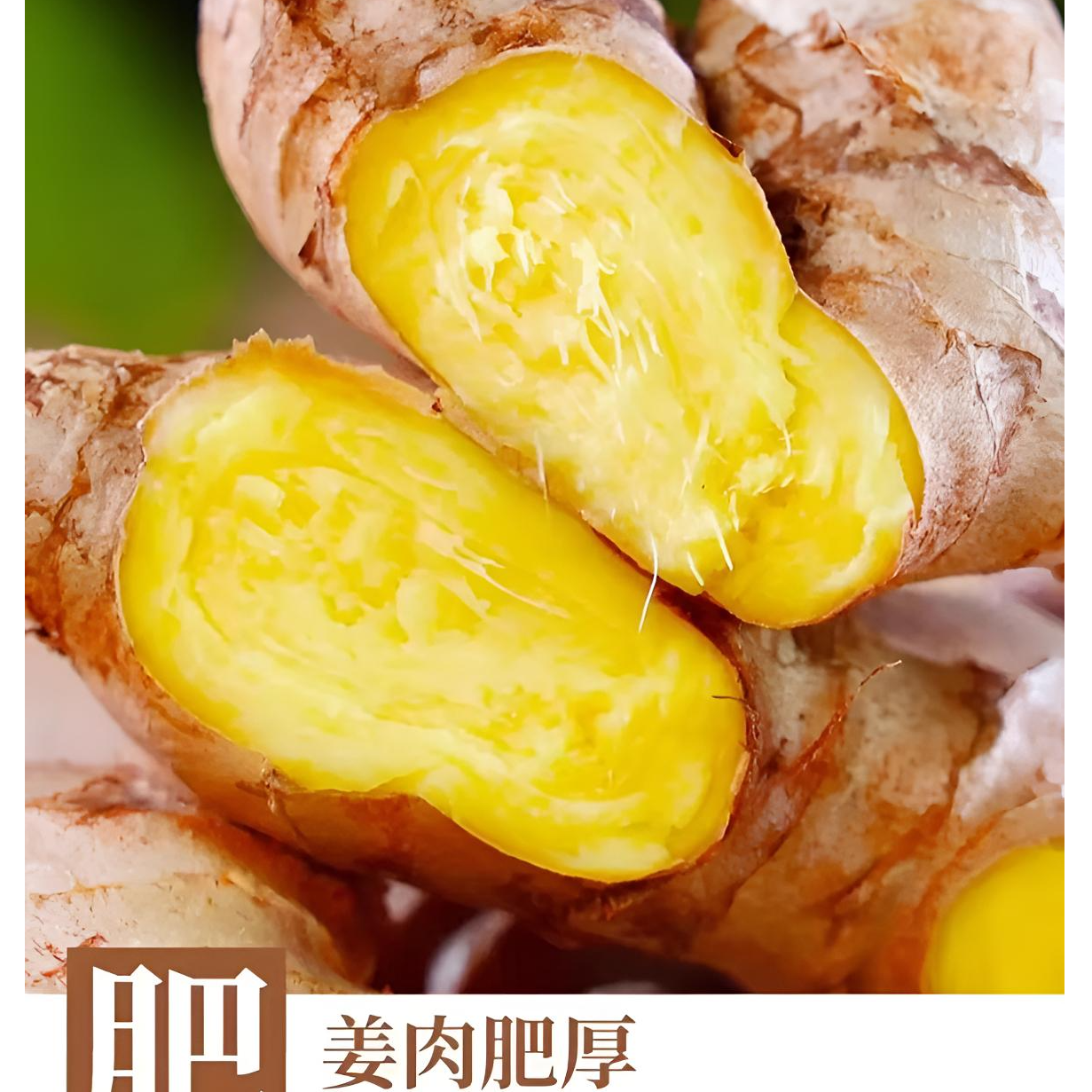 贵州高山新鲜现挖一年半老姜小黄姜云南贵州地发货姜味浓郁