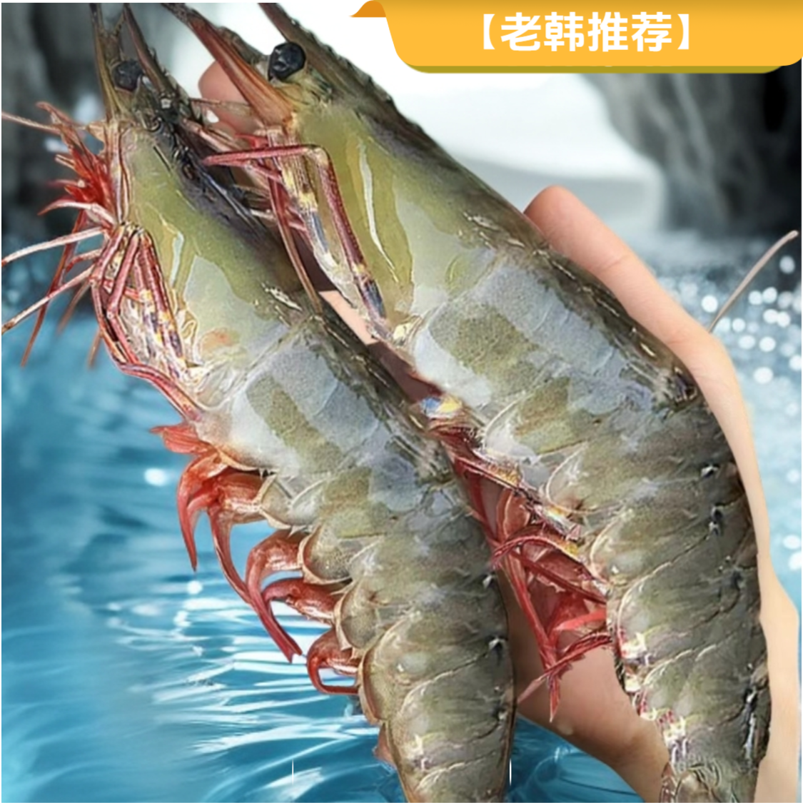 -【特大号规格海虾】新鲜美味 肉质紧实 到手5斤 顺丰冷链特快