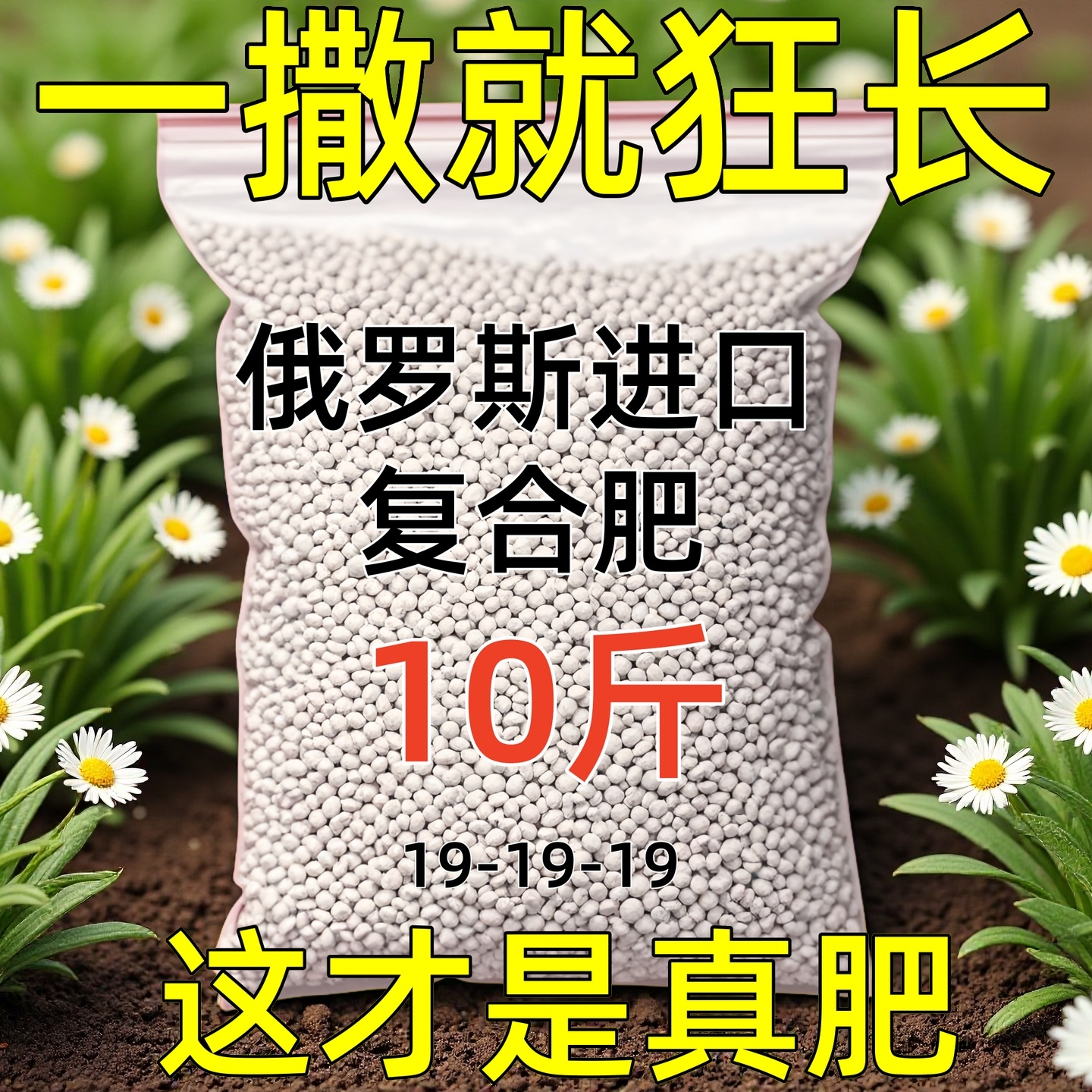 俄罗斯进口有机肥复合肥硫酸钾肥蔬菜肥花肥农用肥果树颗粒肥Q337