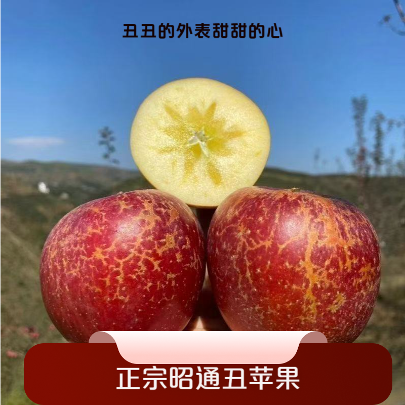 xyy云南昭通冰糖心丑苹果现摘现发当季新鲜脆甜多汁