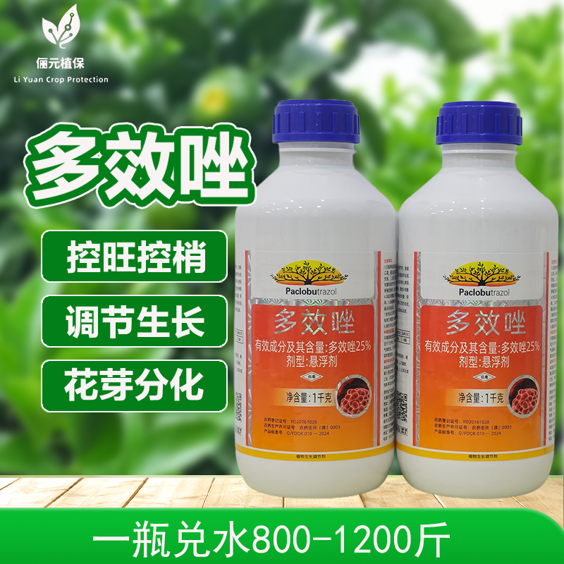 天津汉邦多效唑植物生长调剂控旺控徒长促进花芽分化柑橘专用