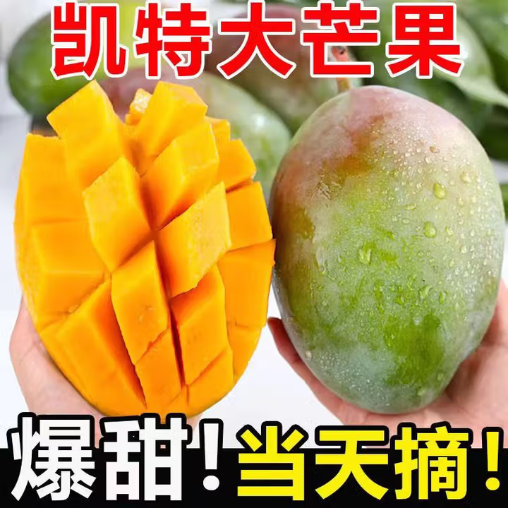 【放软吃】新鲜头茬正宗攀枝花凯特芒现摘青皮芒果热带水果爆甜芒果