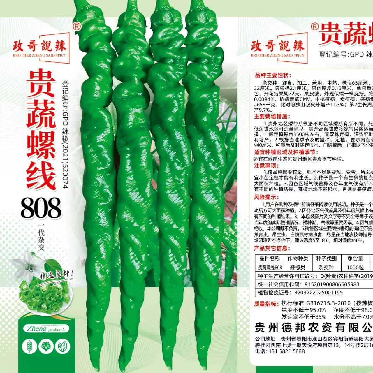 1000+粒 政哥说辣螺线808种子 抗病力强果型大抗倒伏