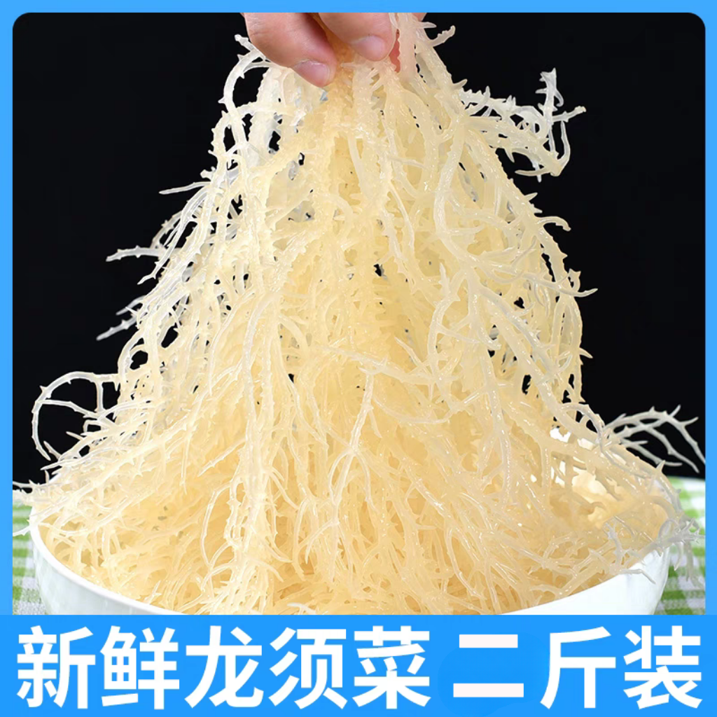 【到手二斤】龙须菜海石花半干凉拌石花菜海藻凉拌菜鹿角菜凉菜