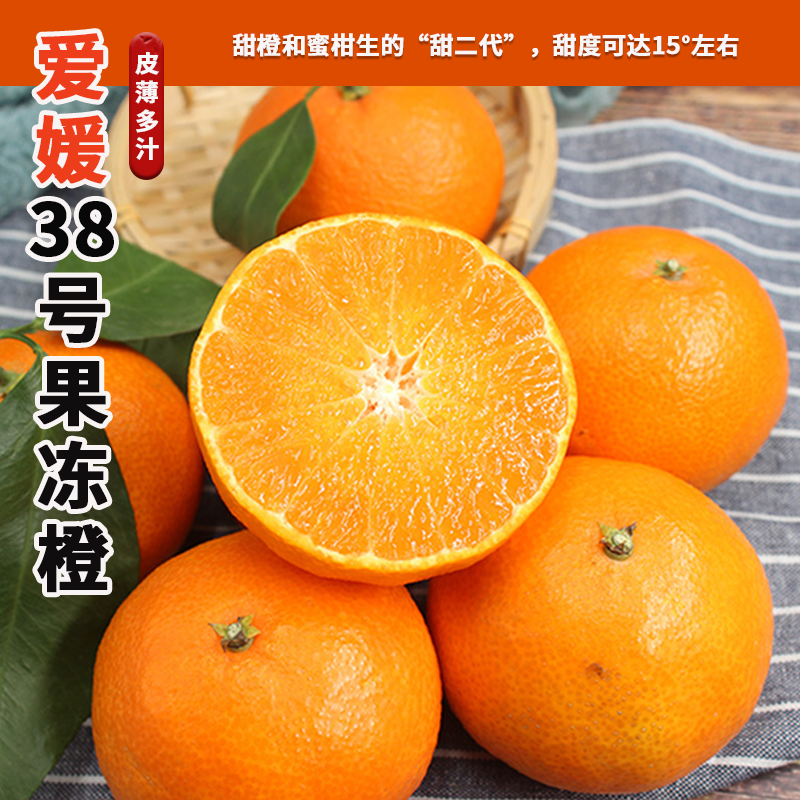 四川爱媛38号果冻橙 果园新鲜采摘皮薄汁水充足肉嫩营养香甜