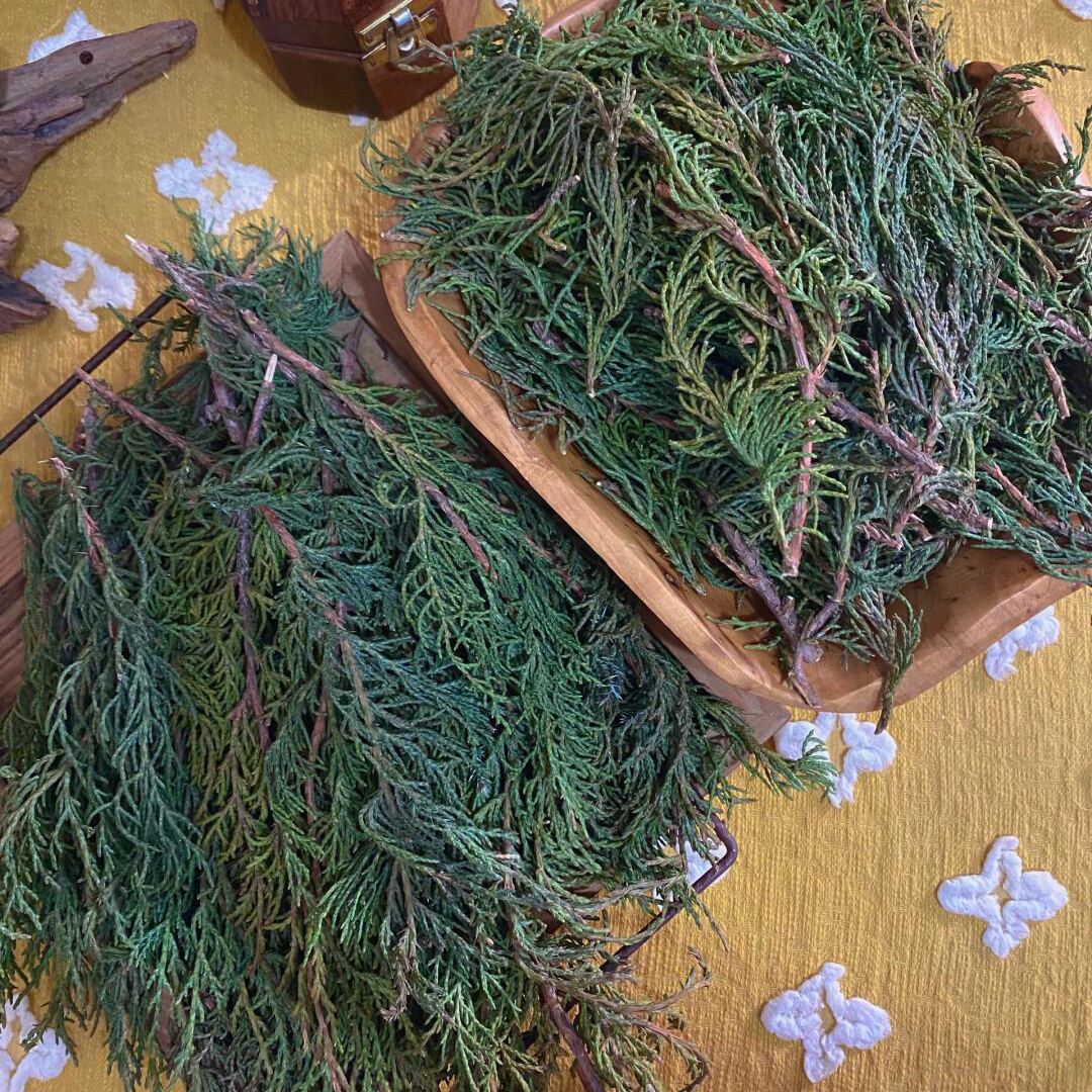 藏香柏青藏高原天然植物藏香家用香薰疗愈舒缓藏香