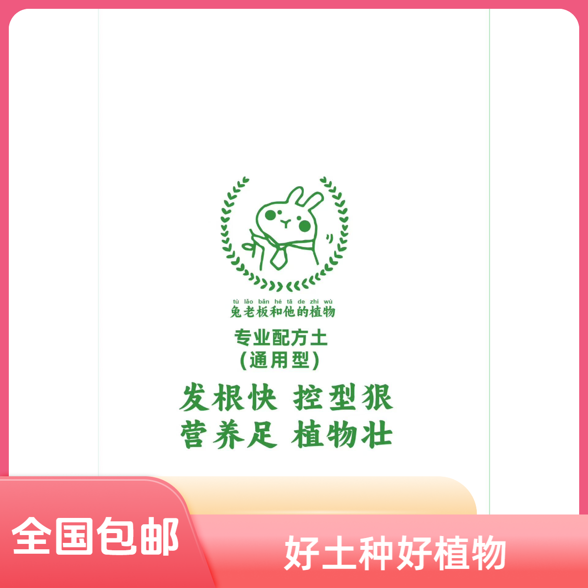 多肉植物种植土通用型专业养护好用  兔老板的配方土