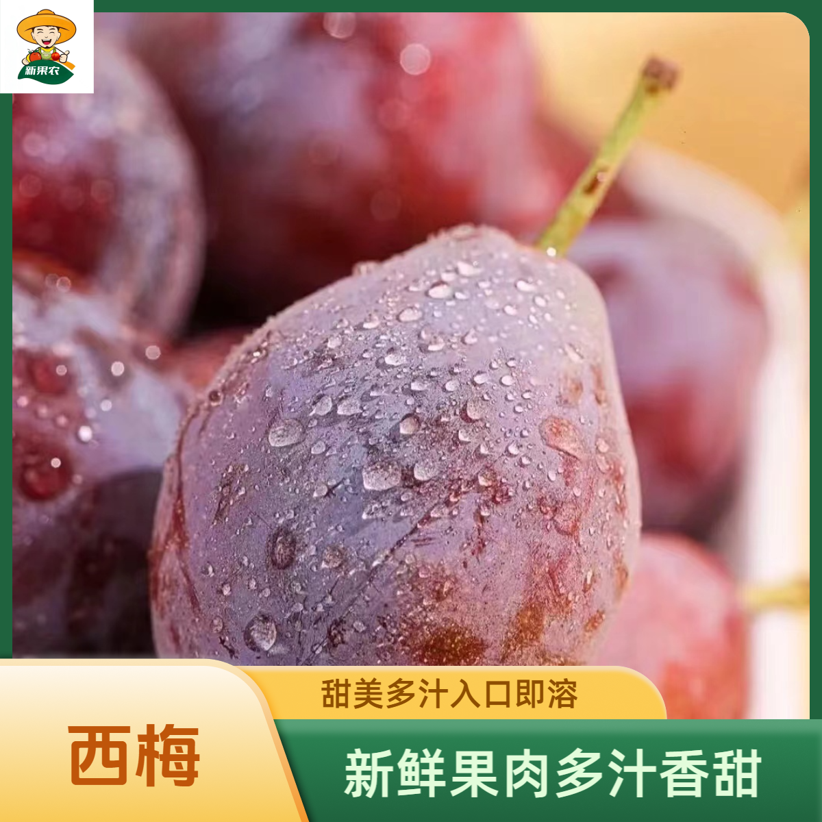 正宗新疆伽师空运法兰西西梅新大西梅纯甜无酸