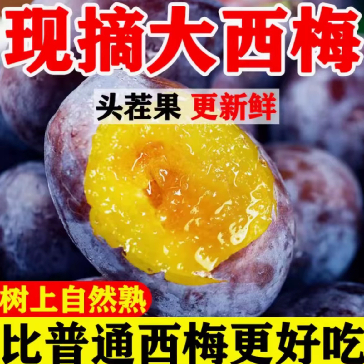 四川西梅新鲜采摘爆甜多汁应季水果C