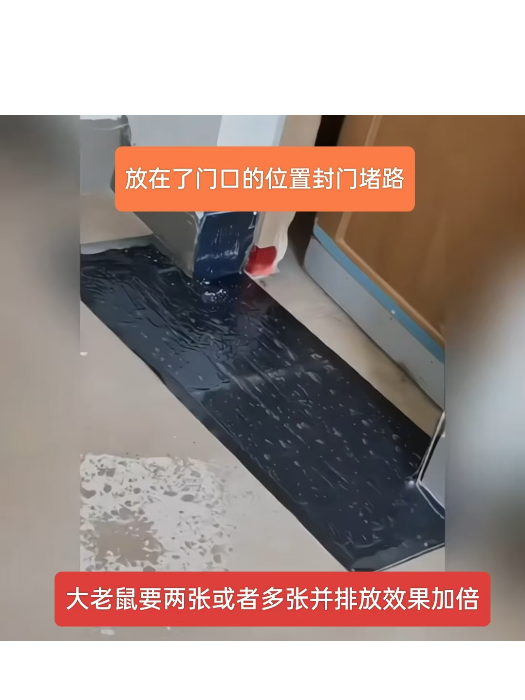 超强粘鼠贴老鼠粘贴强力粘鼠板粘鼠强力胶板室内驱鼠神器抓鼠神器