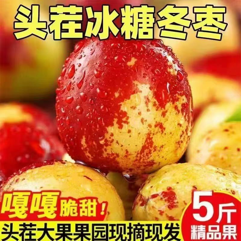果园现摘冬枣脆甜冬枣新鲜水果鲜枣大枣脆枣包邮X