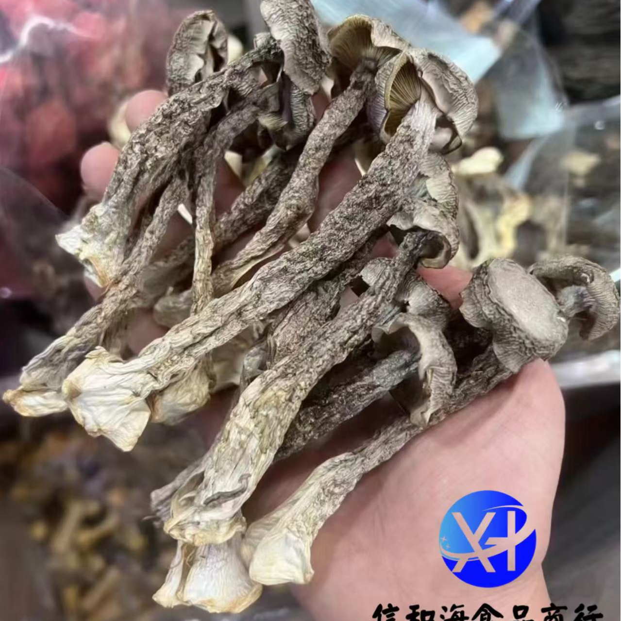 （信和臻选)新鲜无硫云南脆嫩鹿茸菇 又嫩又脆 菇腿饱满