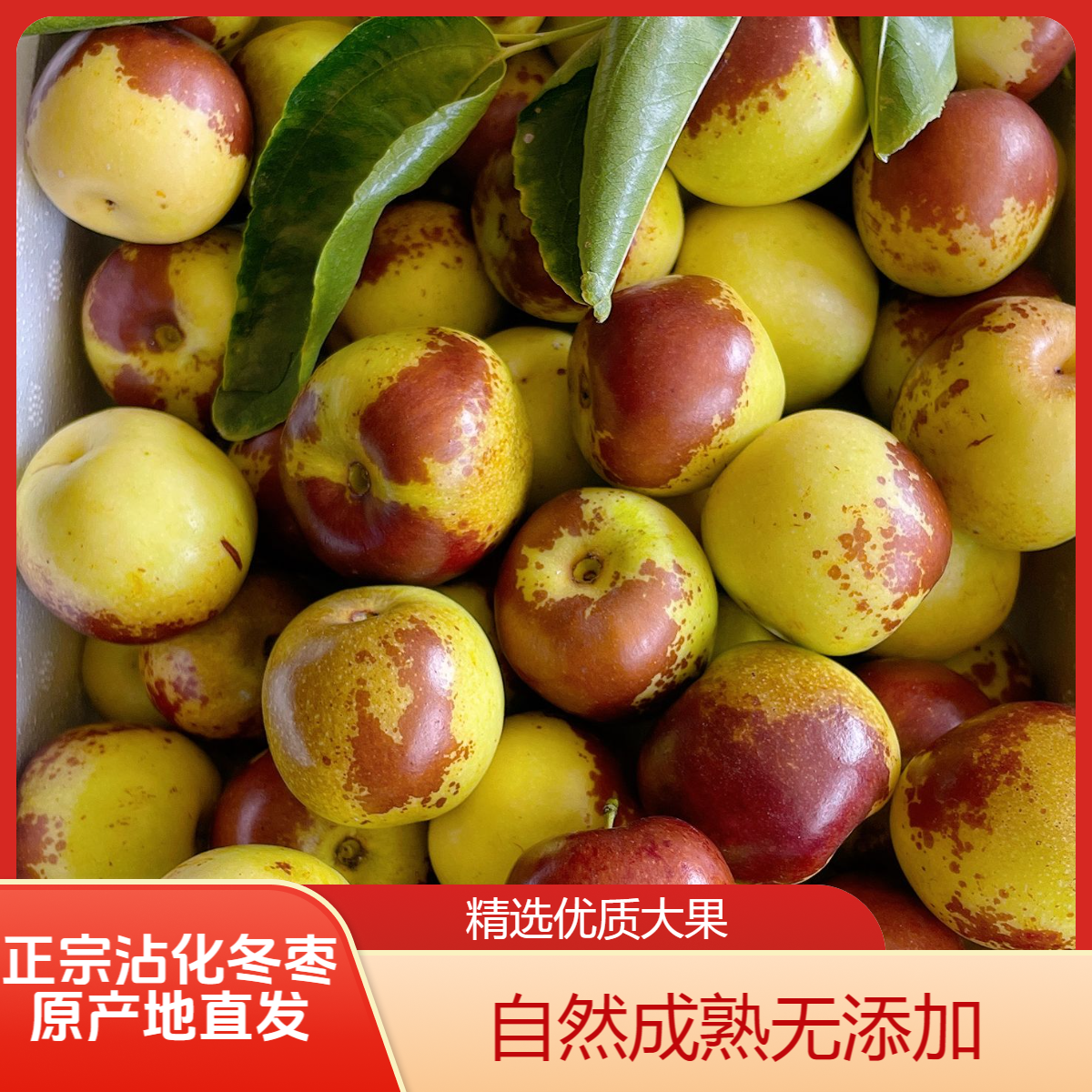 【枣园直发正宗沾化冬枣5】5斤精品冬枣新鲜大枣食用好吃冰糖冬枣