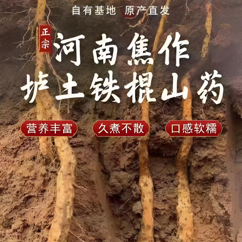 【焦作特产】焦作正宗垆土铁棍怀山药软糯粉面 新鲜采挖5斤净重