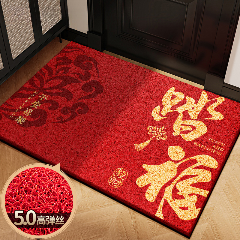 入户门地垫进门垫2026新款轻奢玄关防滑防尘速干地毯裁剪免洗耐脏