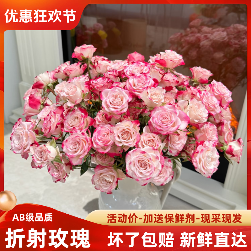 折射多头玫瑰云南基地直发