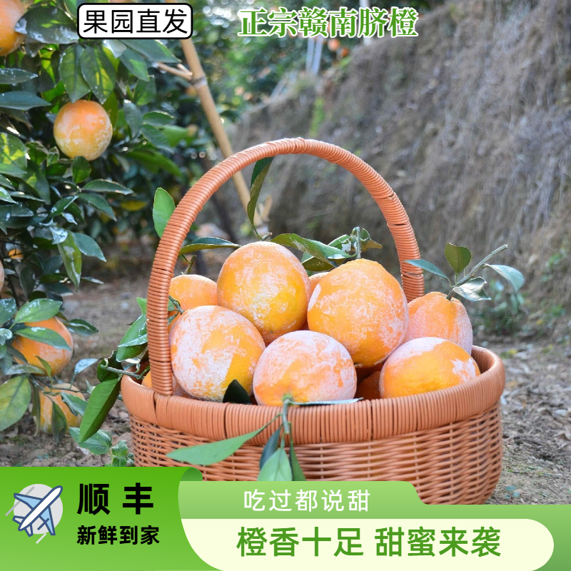 江西赣南脐橙龙勾石灰橙2025新鲜水果农家十斤赣南榨汁