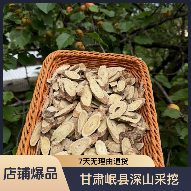 【老黄芪】甘肃，岷县，深山高海拨采挖老黄芪主根大片