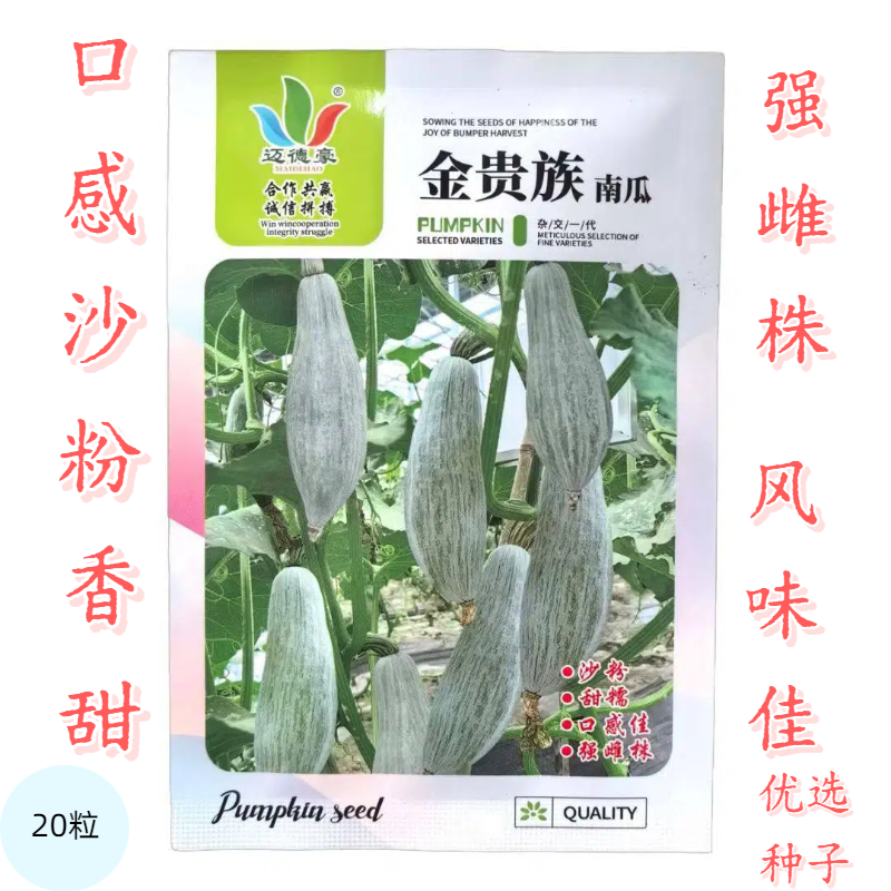 迈德豪金贵族南瓜杂交一代种子中早熟果实棒型中间粗口感沙粉香甜