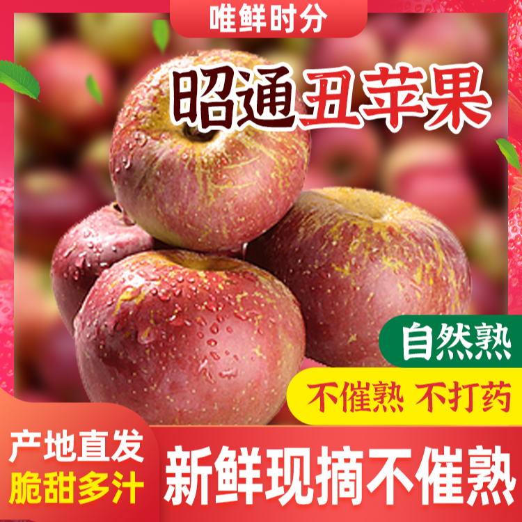 唯鲜时分【年终狂欢季】正宗昭通糖心丑苹果9斤当季现摘现发脆甜