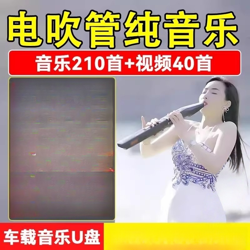 车载电吹管纯音乐随身碟情罪抖音热门精选电吹管无失真高音质mp3