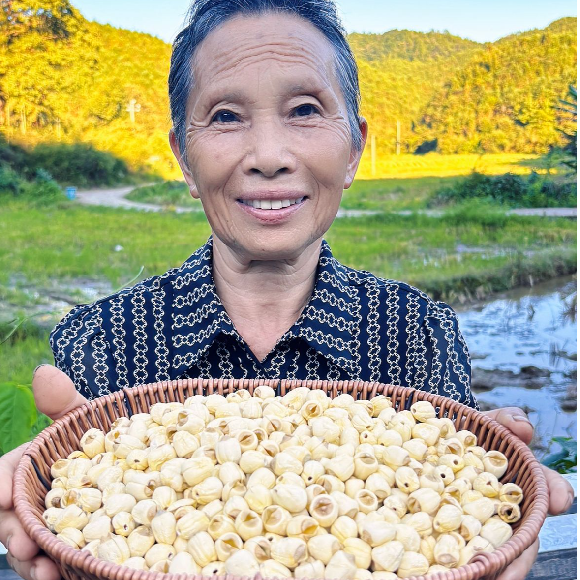 2025年手工白莲原色原香原味无硫自产自销