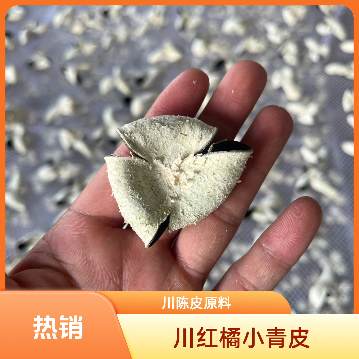 万州川红橘小青皮川陈皮原料500g包邮