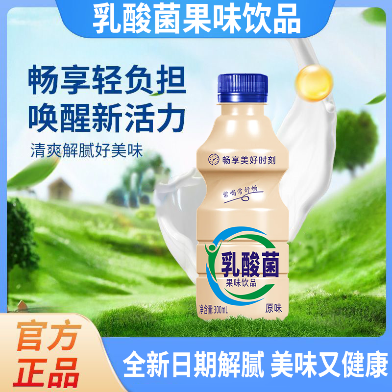 新日期乳酸菌饮品整箱300ml*12瓶早餐益生菌酸奶牛奶益生元饮料