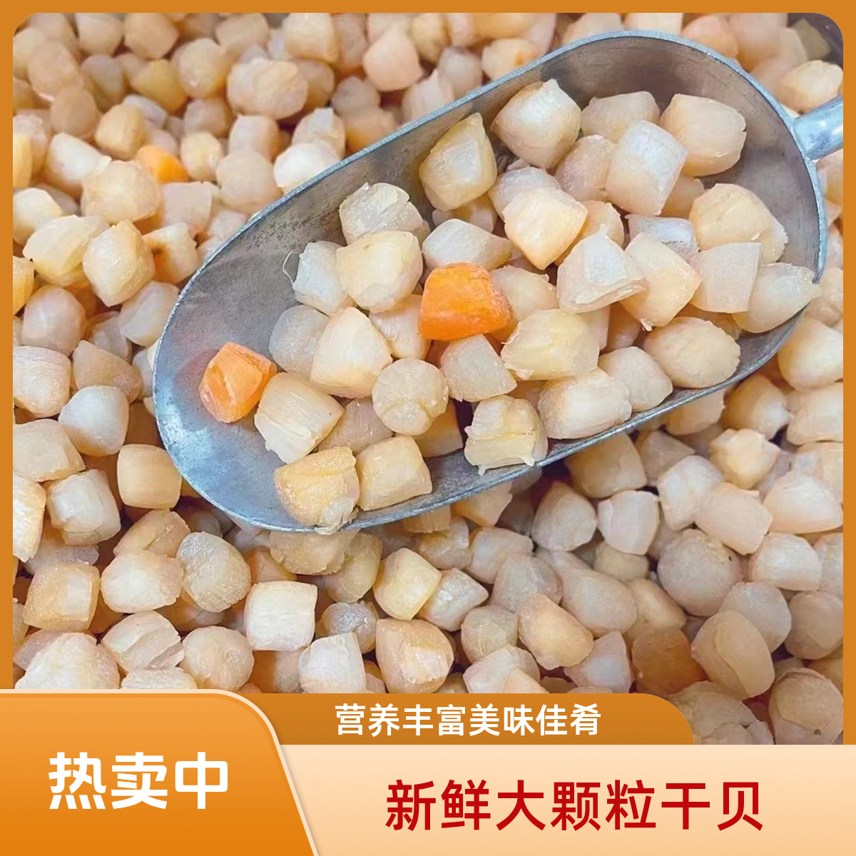 大干贝干货500g淡干元贝炒菜煲汤贝类海鲜干宝宝辅食扇贝丁瑶柱干