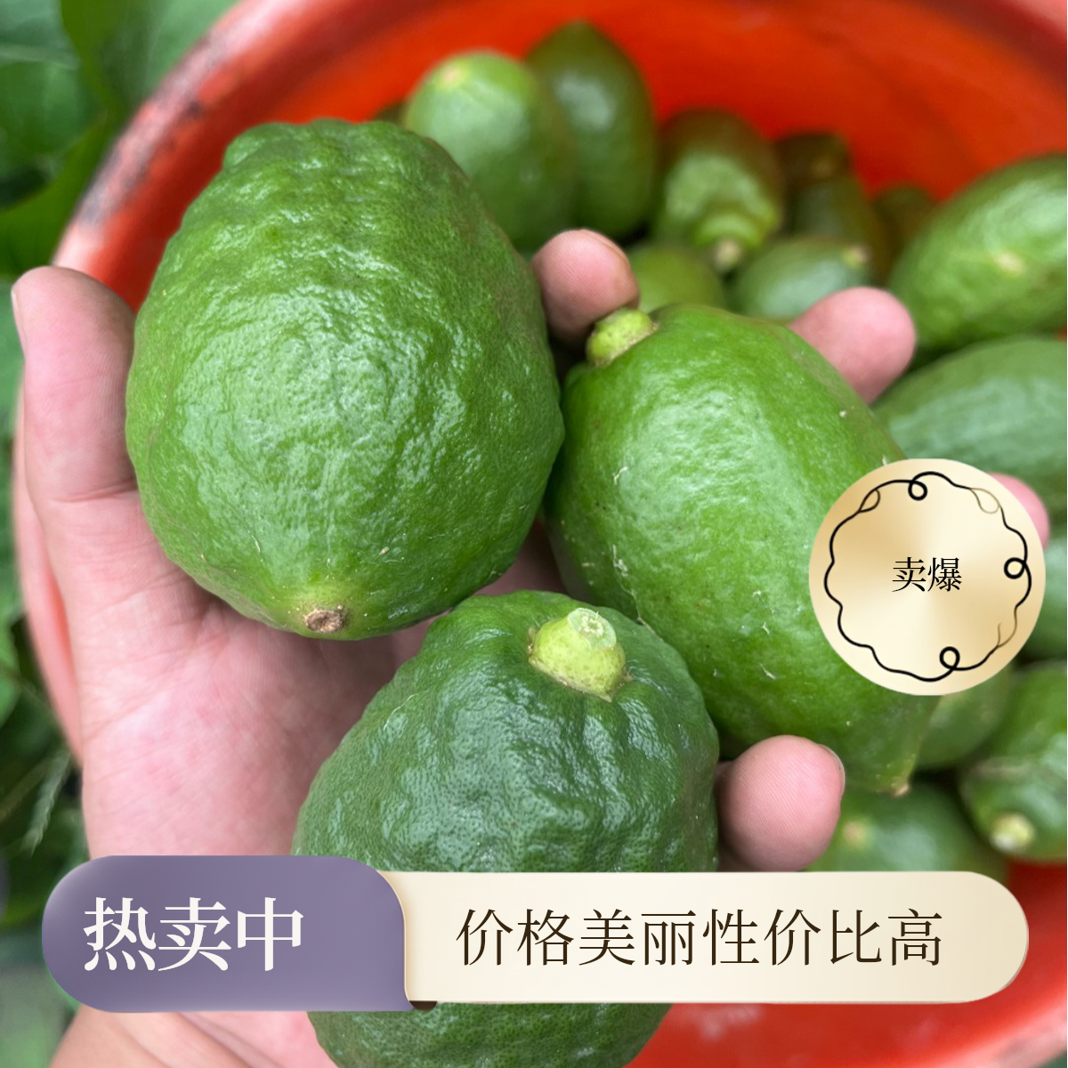 正宗新鲜广东香水现摘批发产地直发青柠檬柠檬鲜果产地直发