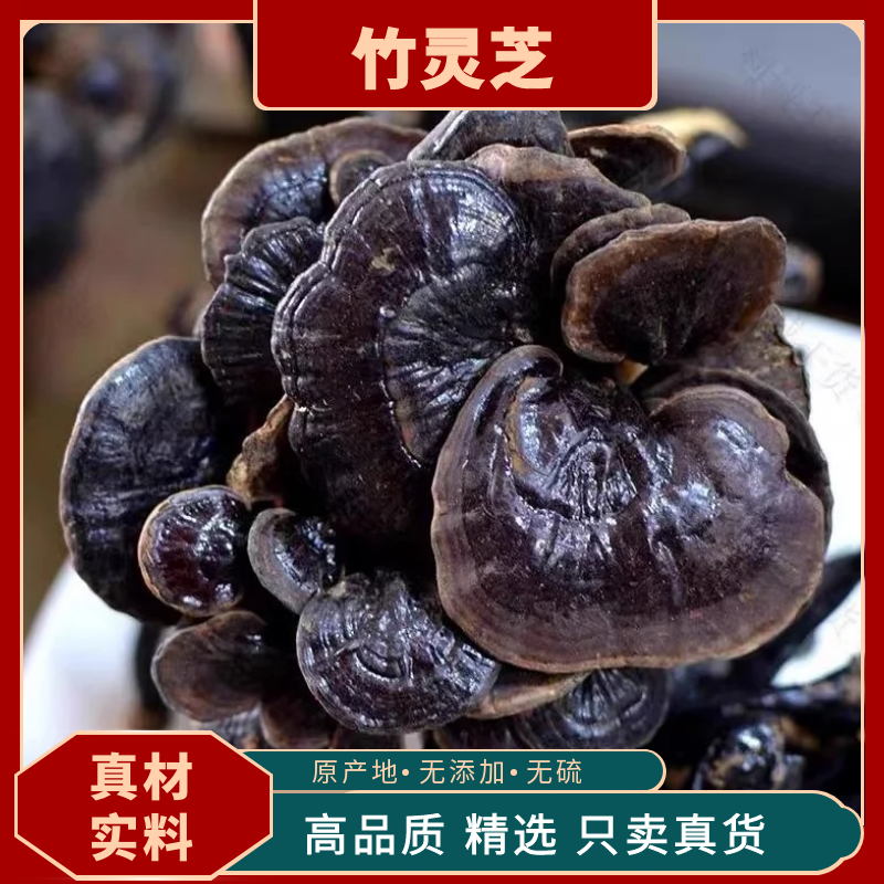 竹灵芝精选云南深山野生竹灵芝中药材野竹芝小红芝整个干货野灵芝