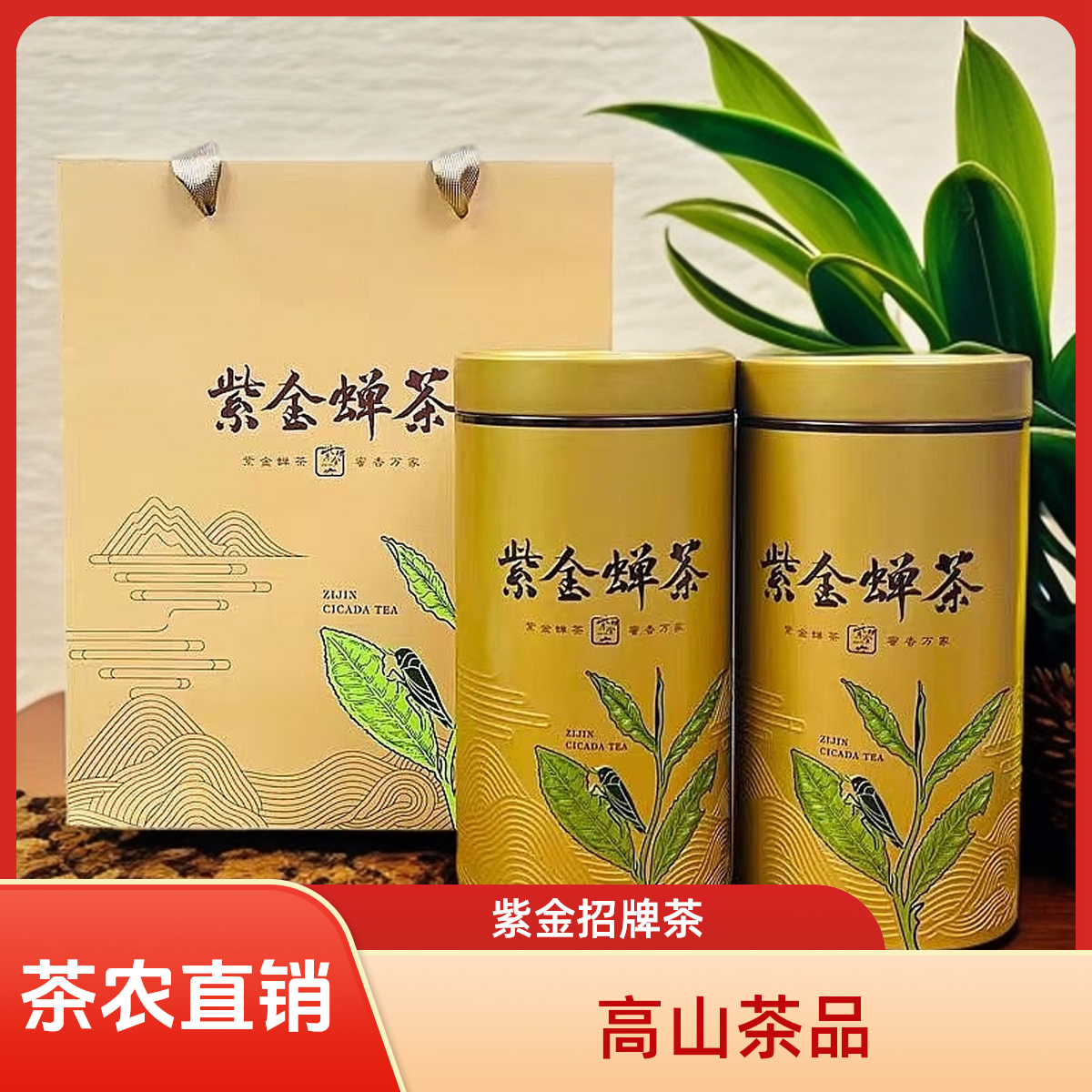 2025新茶紫金龙窝茶带蜜香味蝉茶蝉虫咬过高山茶茶农直销蜜兰香