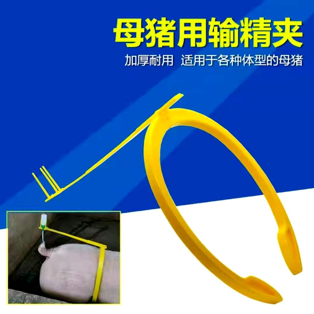 母猪用支架 母猪配种支架 母猪产床使用支架母猪配种背夹马夹