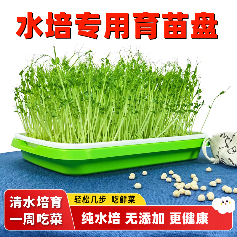 育苗盘豆芽发芽专用盆水培盒芽苗菜小麦苗豌豆苗种植网格水培菜盘