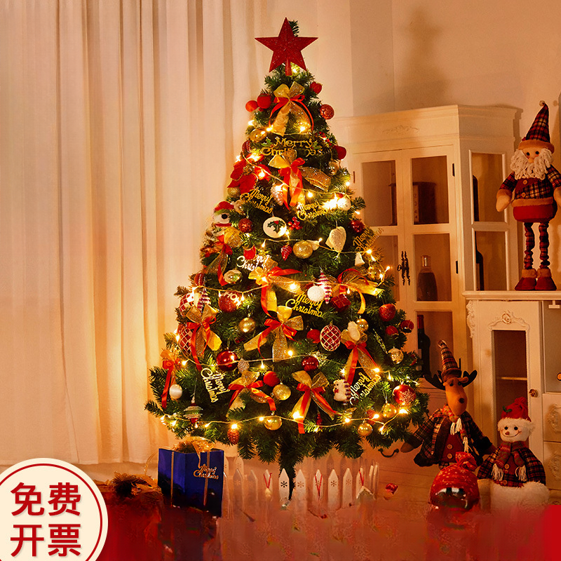 2025圣诞树家用套餐加密diy发光大型摆件新款高级感ins圣诞节装饰