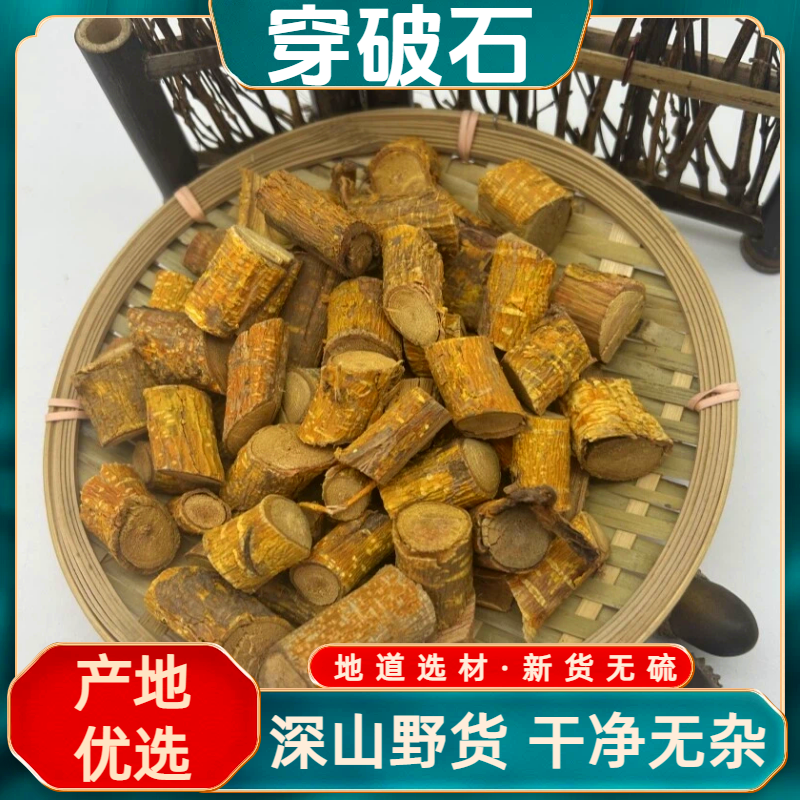 广西自晒精品穿破石干净无硫川破石根部地棉根九层皮石柘根255g