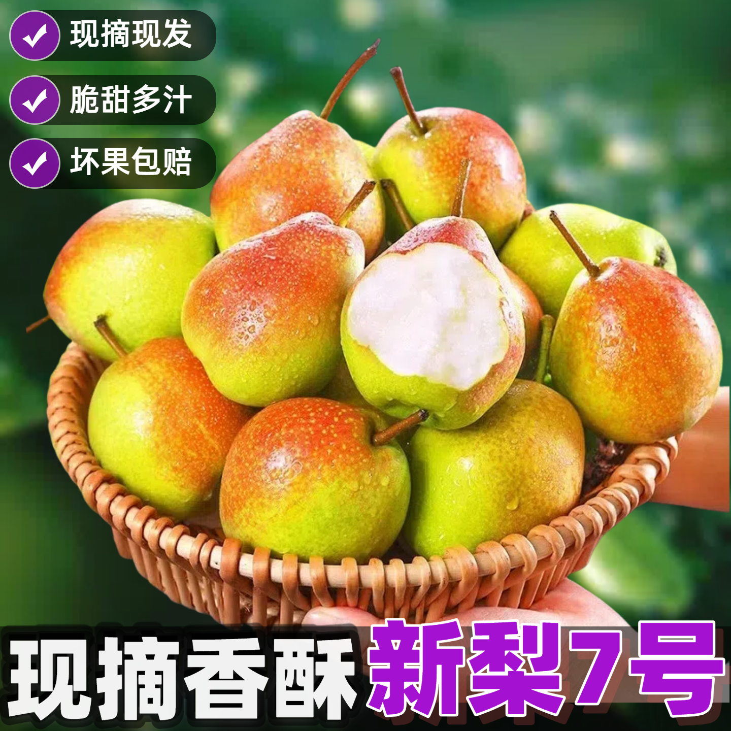【25年头茬】5斤新梨7号现摘现发红香酥梨子当季新鲜水果库尔勒香梨
