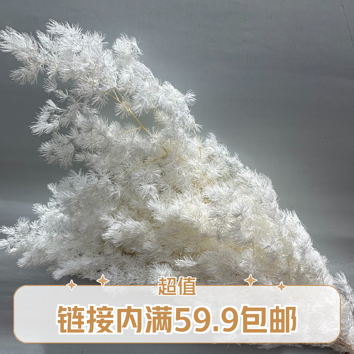 蓬莱松龙枣永生花干花永生花花束白色永生蓬莱松情人节教师节花束