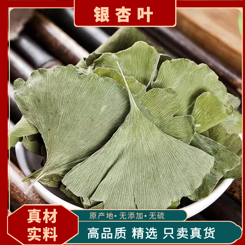银杏叶中药材正品新叶银杏树叶白果树叶干货飞蛾叶鸭脚子泡水泡茶