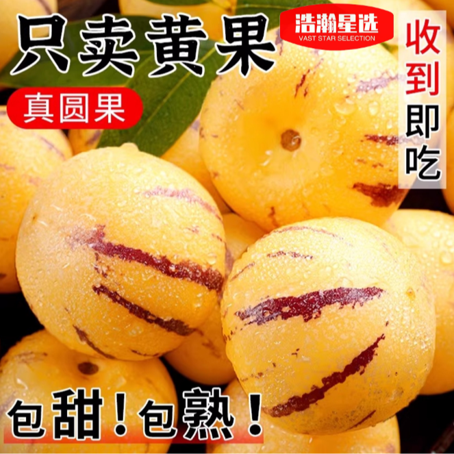 【H】云南石林人参果带箱5斤装单果80g+约15-25个清甜多汁