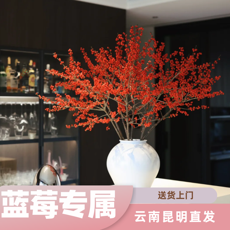 【蓝莓专属】北美冬青丨高颜值长花期鲜切年宵花基地直发