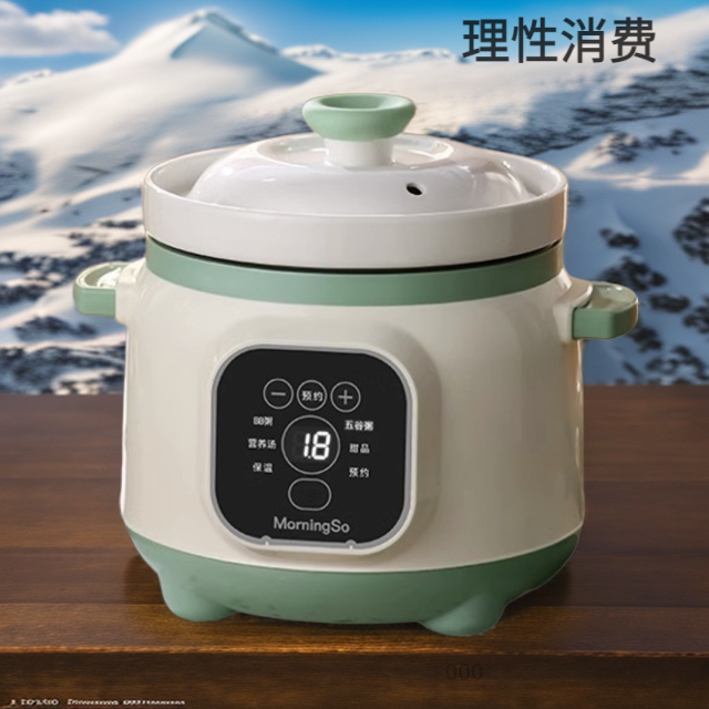 电炖锅全自动炖汤炖盅煮粥锅煲汤锅电炖盅养生锅保温宝宝辅食神器