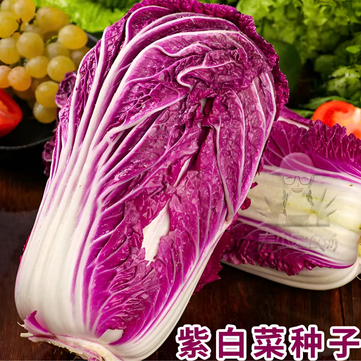 【紫白菜种子】紫白菜种子四季播种 庭院田地种植农家蔬菜