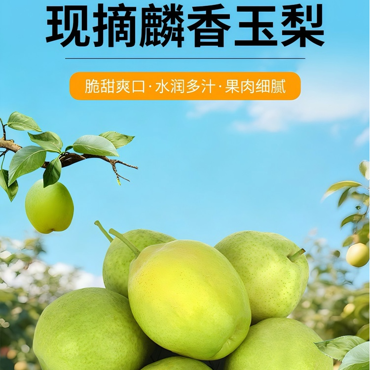 甘肃麒香玉梨脆甜多汁核小无渣皮薄肉厚现摘当季