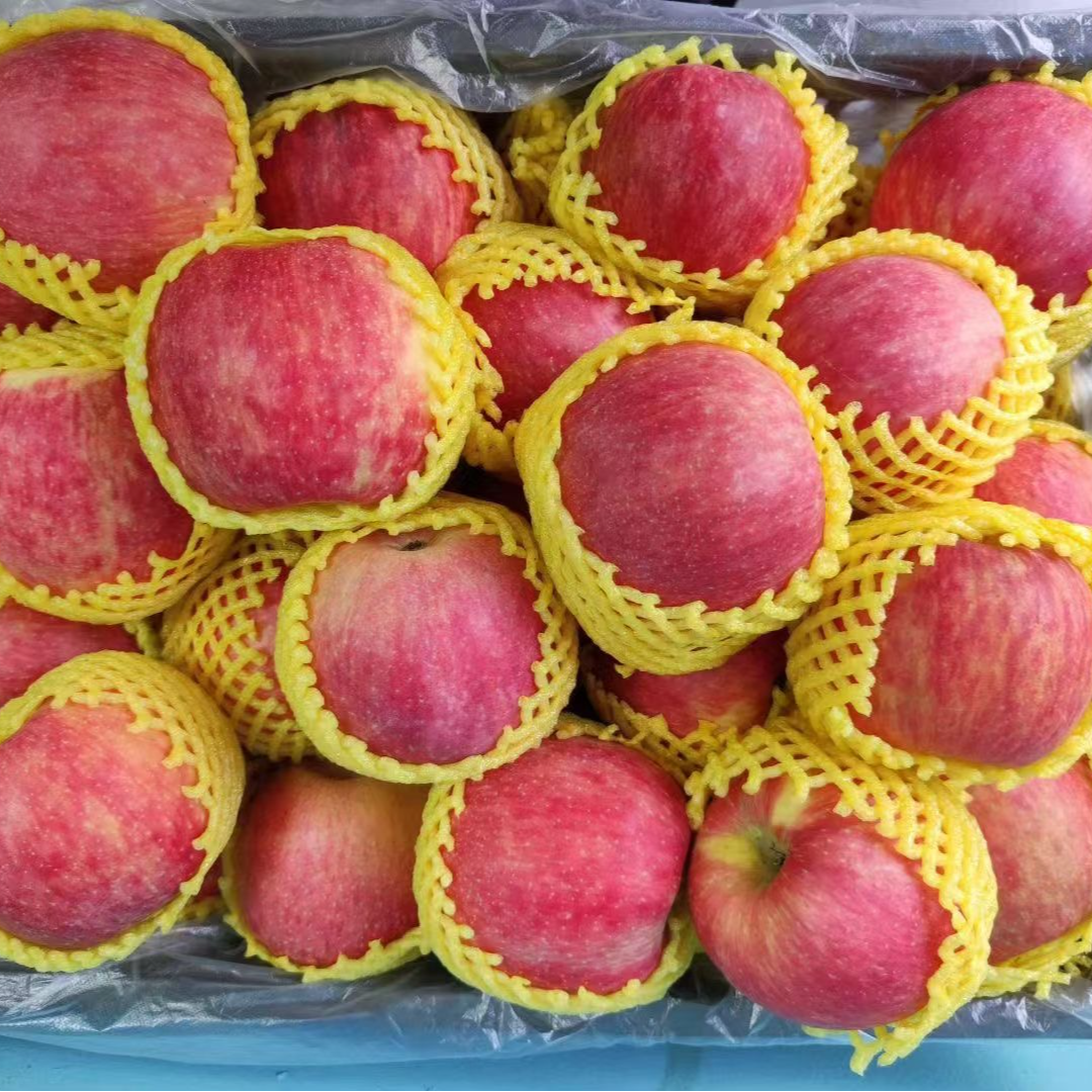 长武红 2025年新果陕西秦脆苹果新鲜水果产地直发大果