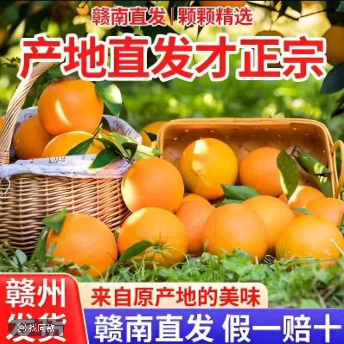 开园啦！正宗【赣南脐橙】新鲜采摘 应季水果鲜美多汁RD1