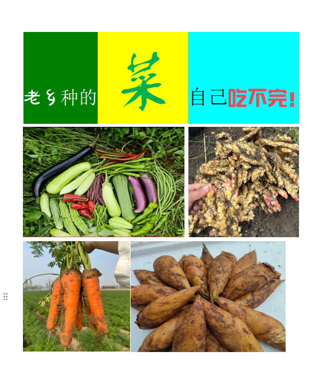 【阿猫助农】莲花本地蔬菜现摘现发芋头秋菜梅菜干胡萝卜