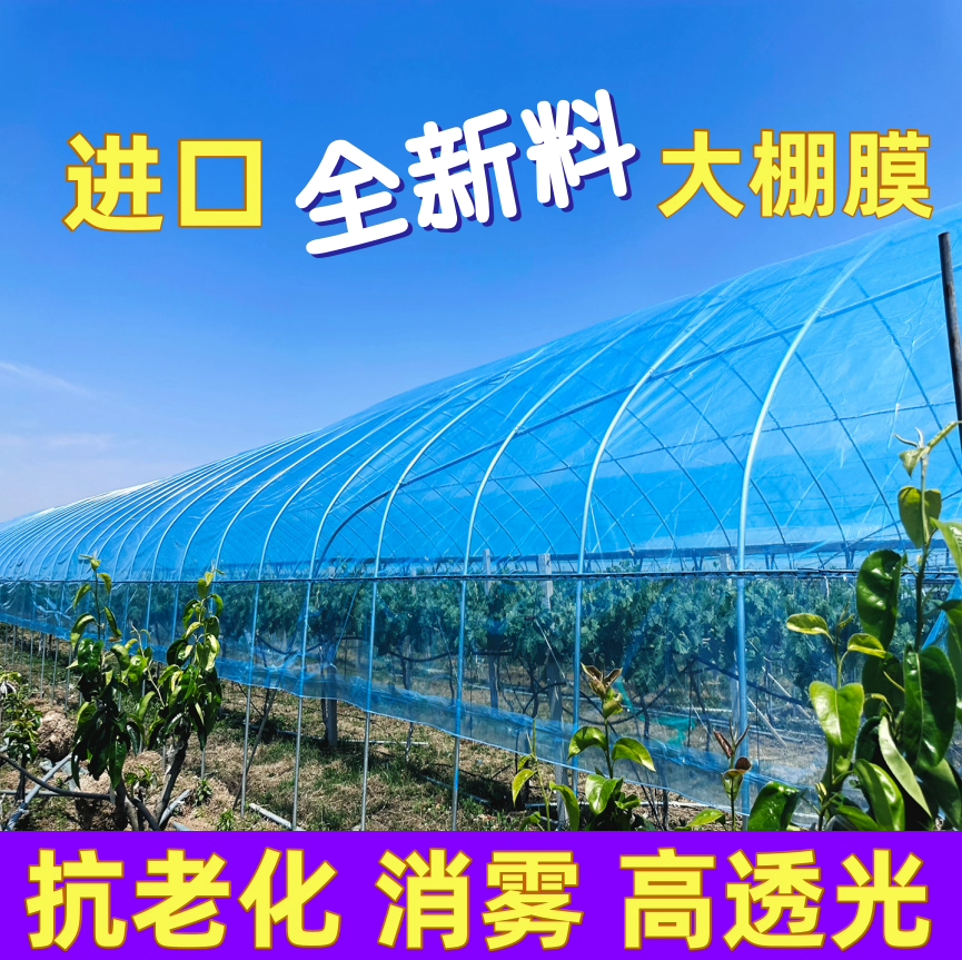 【国标】塑料大棚膜无滴膜高透光PO膜蔬菜种植温室塑料膜加厚养殖