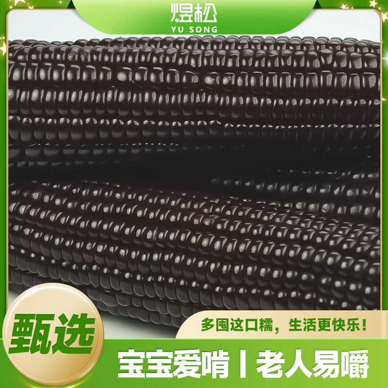 东北鲜采粘糯黑糯玉米共12支可试吃两根单只240g以上（整箱6-7斤）
