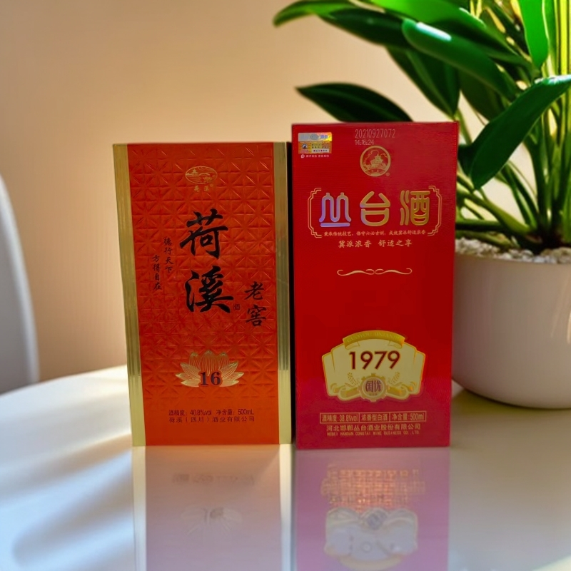 荷溪荷溪老窖（新16）浓香型白酒  197940.8度500